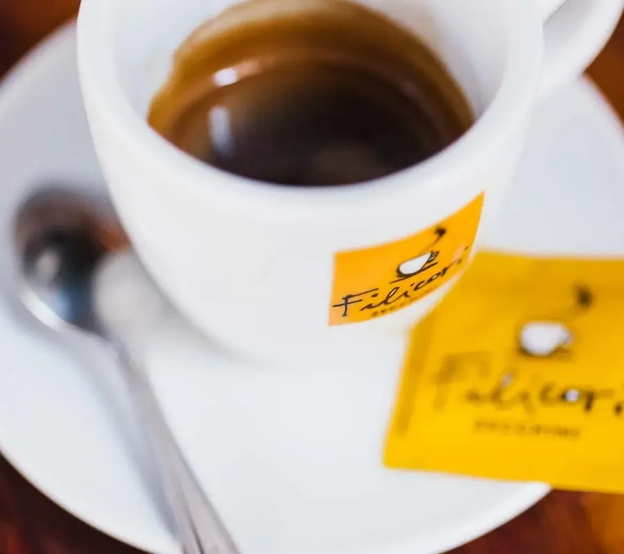 Cafea Filicori Gran Crema Delicato (100 monodoze)